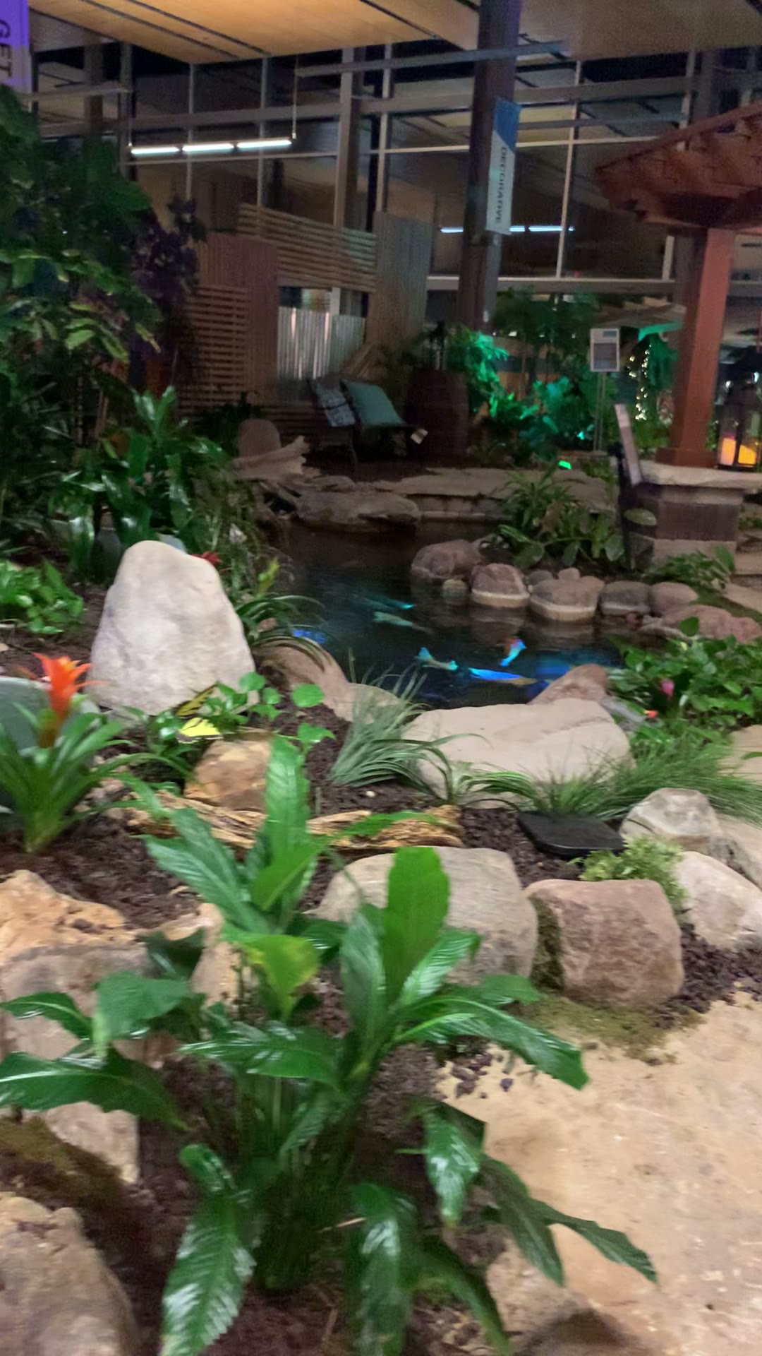 Indoor water garden walk-through