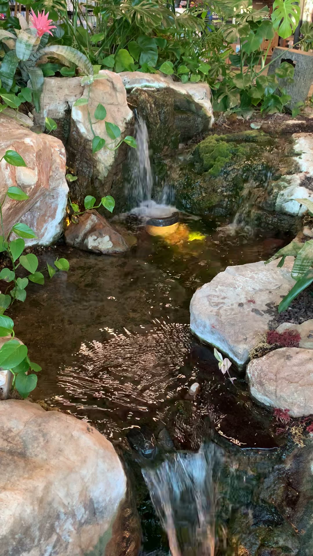 Natural garden waterfall