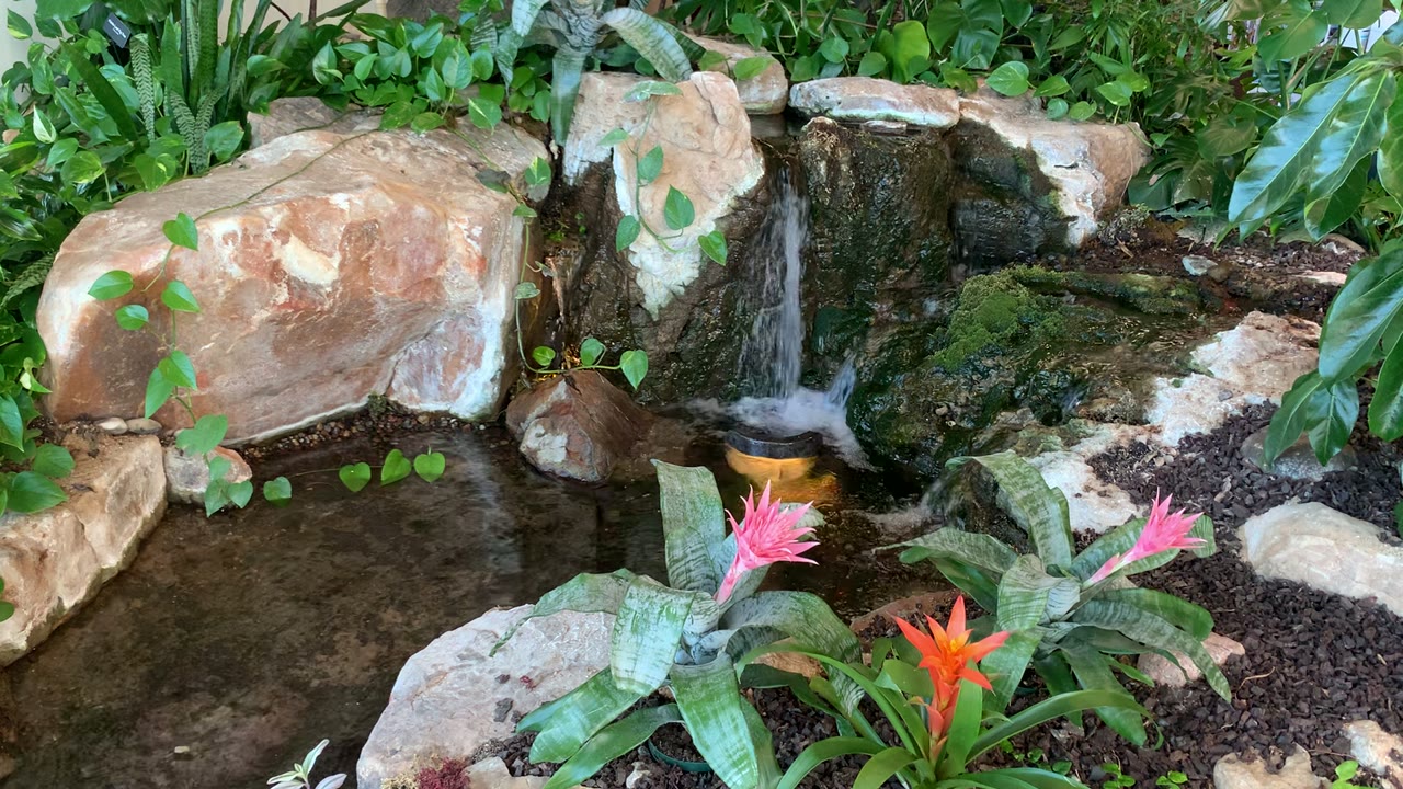 Pond and stream showcase