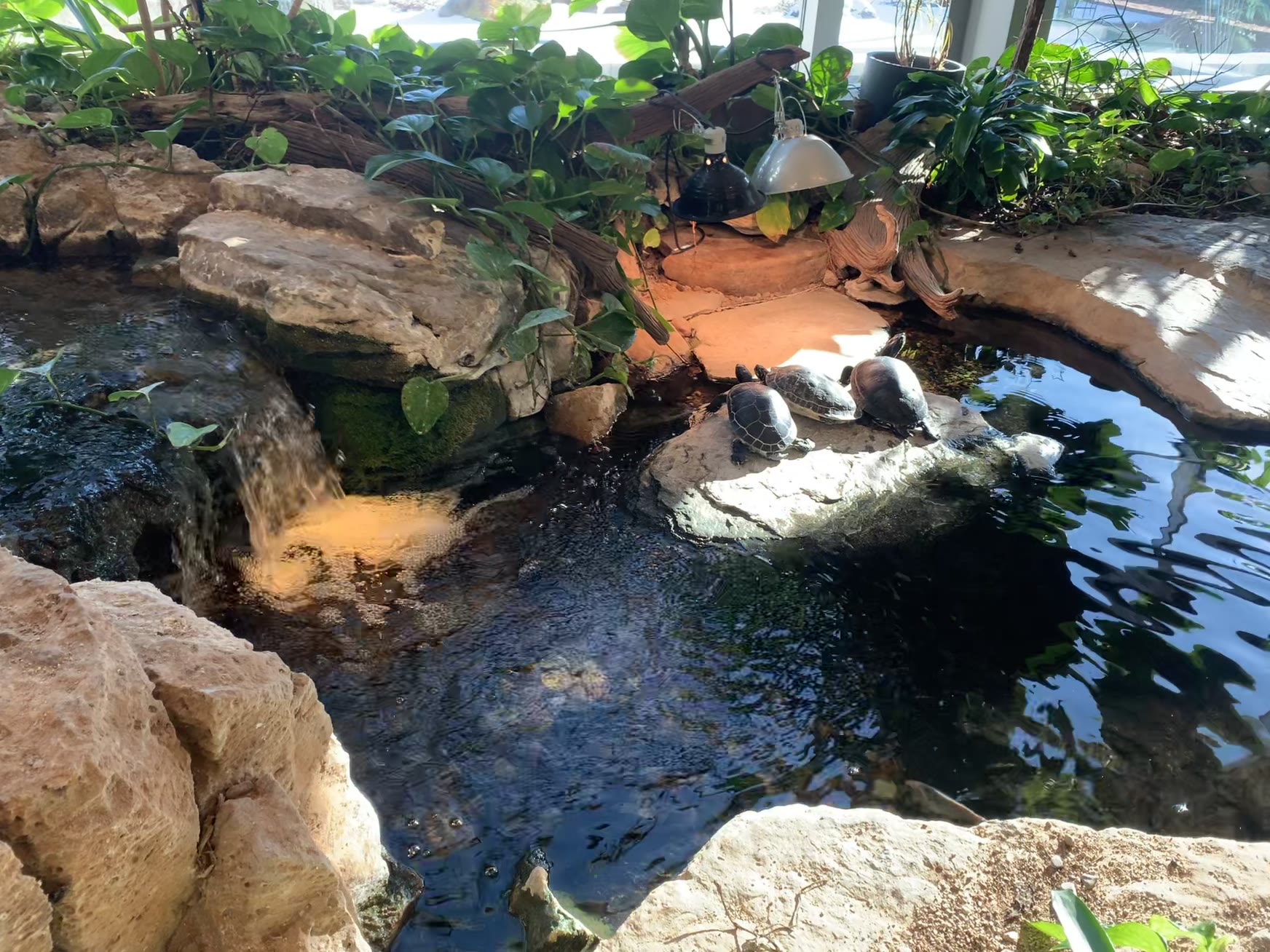 Pond waterfall at Aqualand