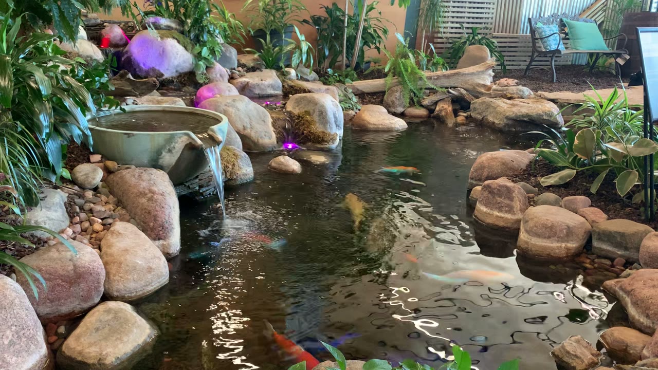 Indoor ecosystem pond