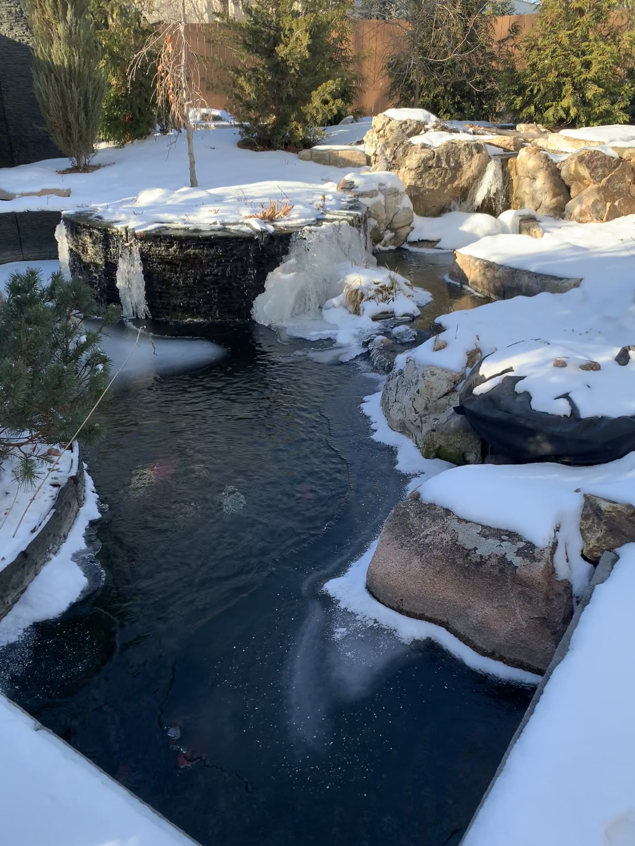 Winter pond and fountain