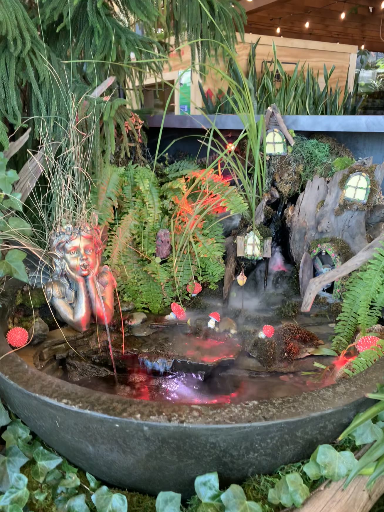 Container pond display